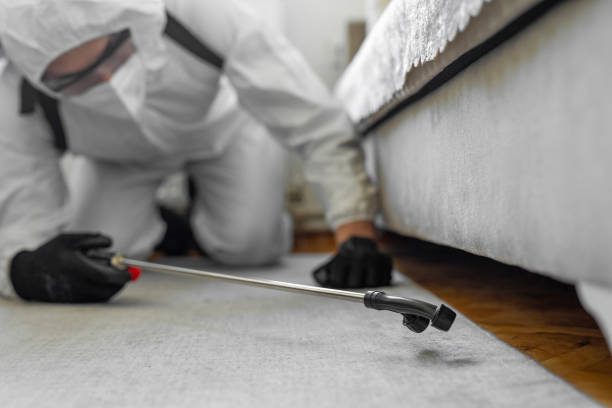 Professional Termite Control technician working in Carrollton, MO