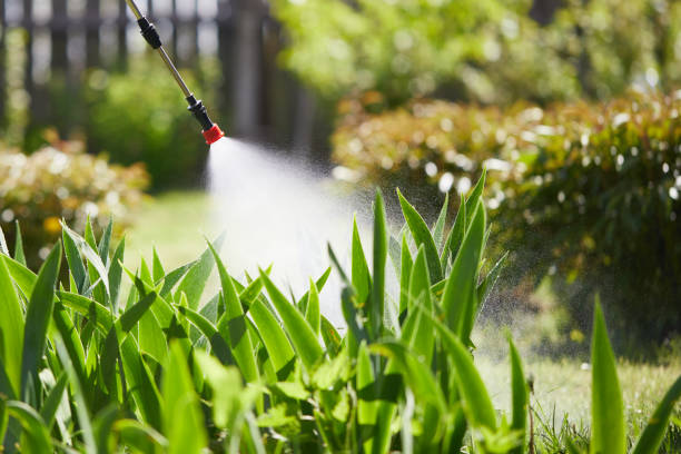 24/7 Emergency Termite Control experts in Carrollton, MO